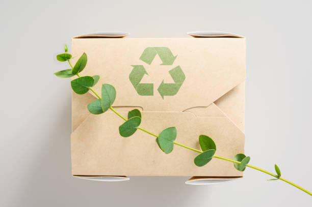 Environmentally Friendly Packaging in the Beauty Industry