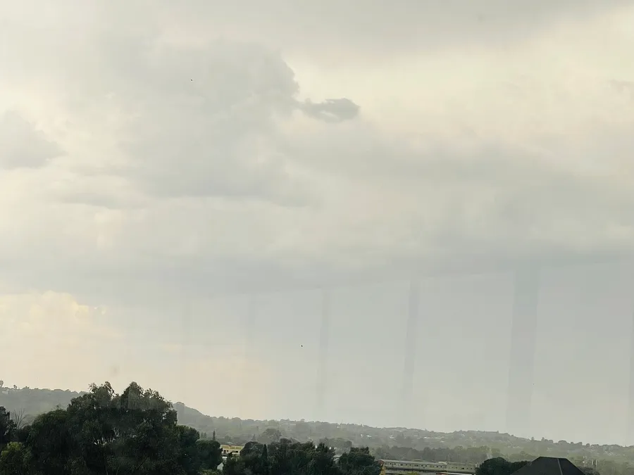 Buy Weather By Arms Travel — up close