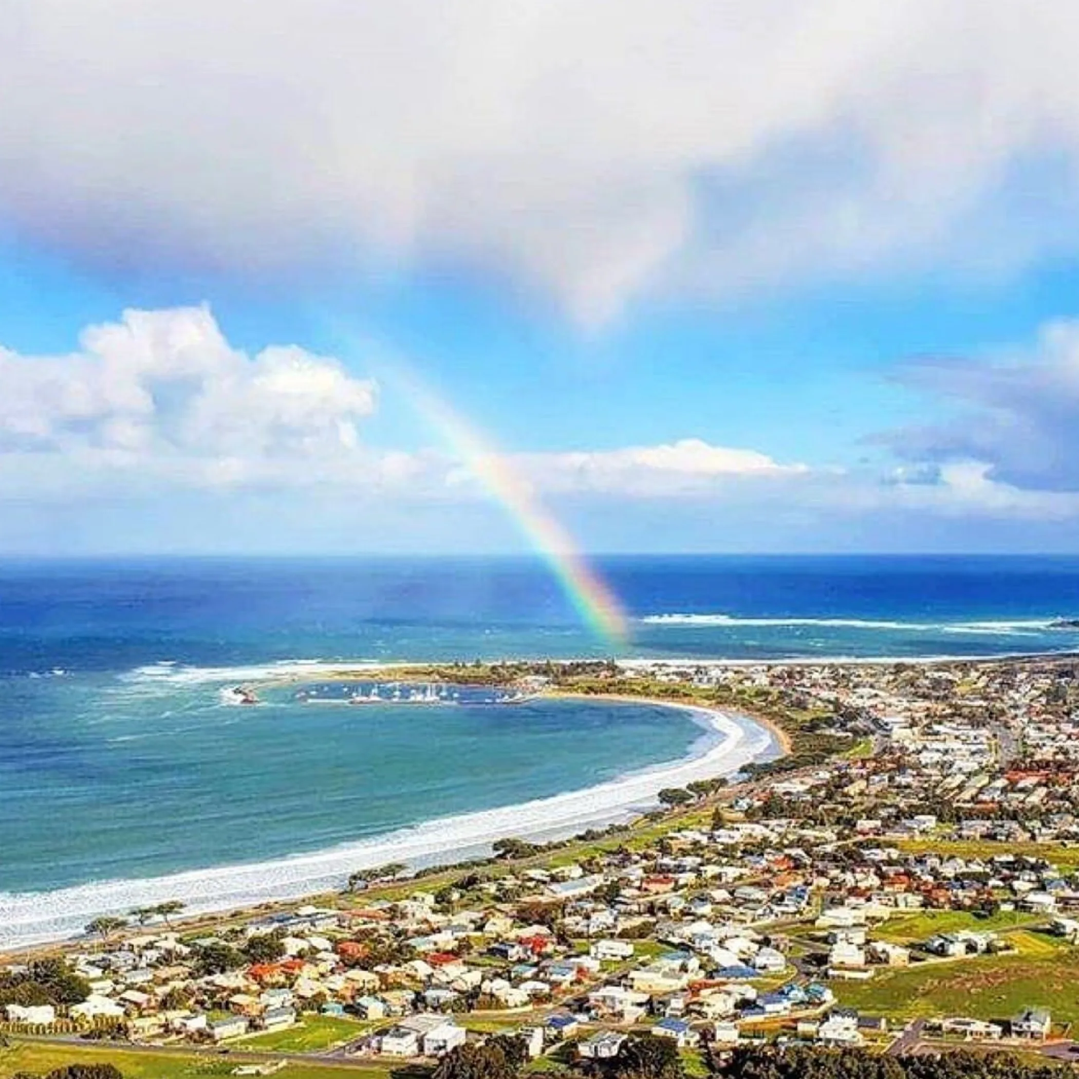 whale watching from port campbell lookout winter
